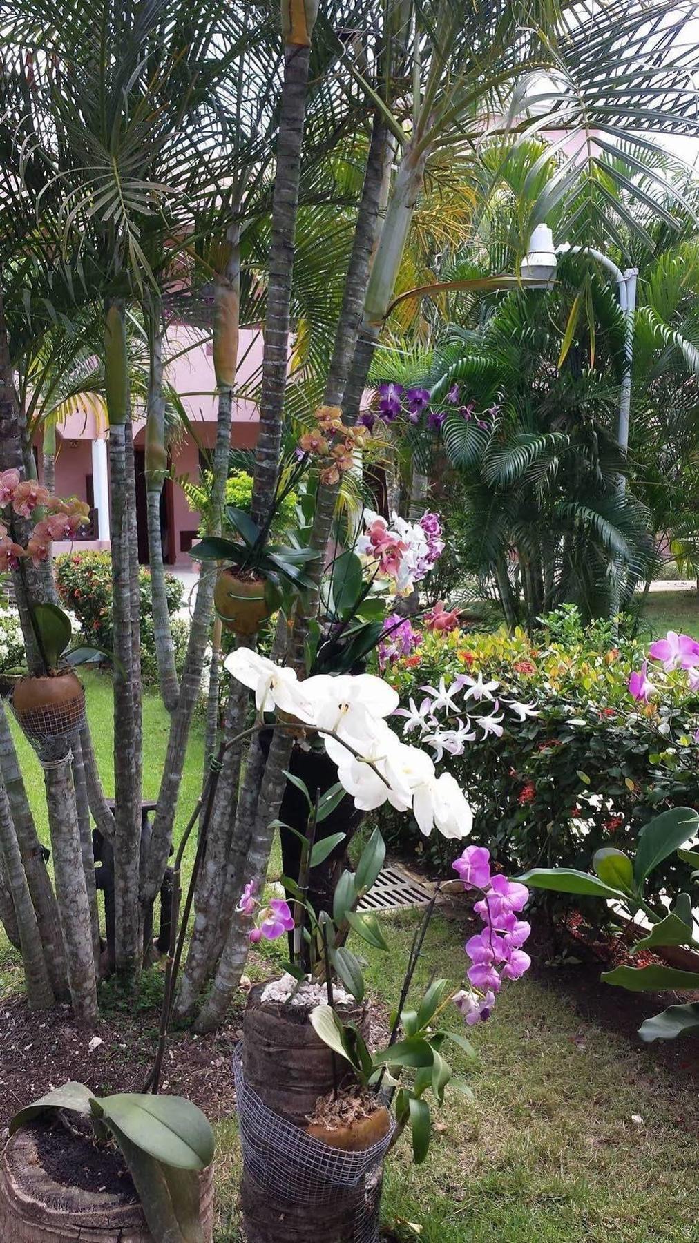 Soficu Hotel El Eden Dominicus Bayahibe Luaran gambar